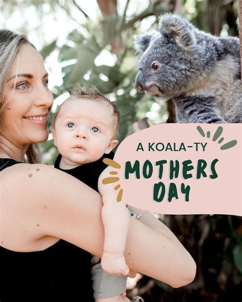 A Day at the Byron Bay Wildlife Sanctuary  .